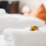 Hotel Tum Stüürmann Büsum