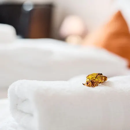 Hotel Tum Stueuermann Büsum